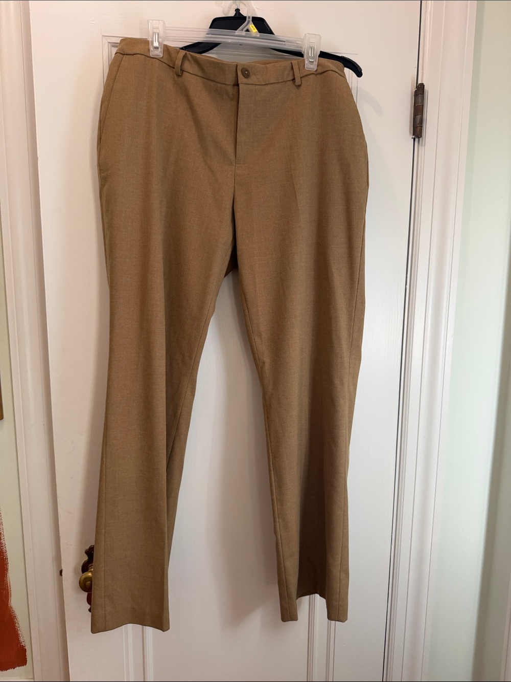 Coldwater Creek Straight Leg Pants in Camel Brown
